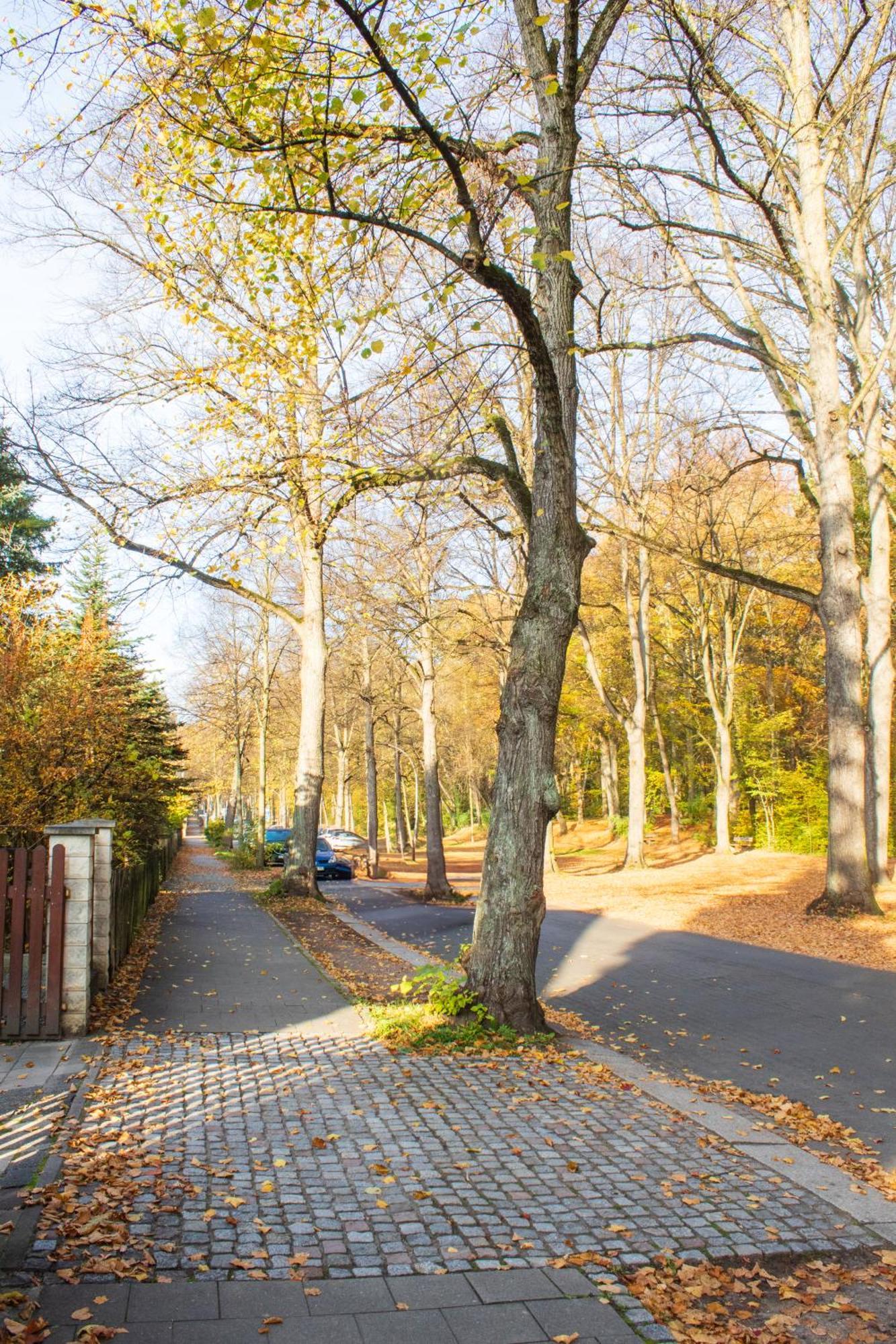 Stadtnatur Apartment Am Kuechwald - Mit Balkon, Streaming-Tv, Badewanne, Arbeitsplatz شيمنيتز المظهر الخارجي الصورة